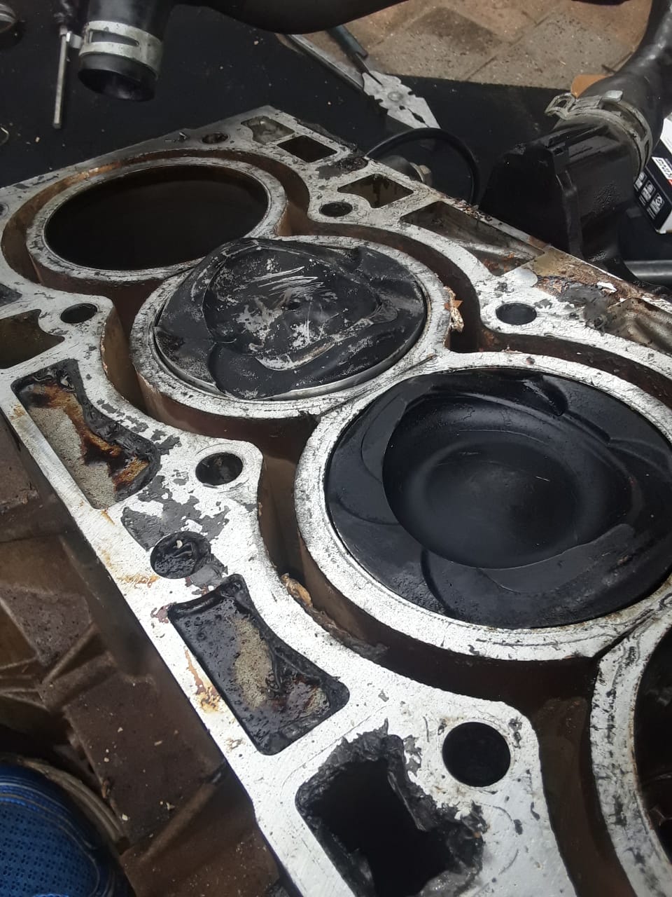 WhatsApp Image 2024-02-07 at 1.42.46 PM (1)